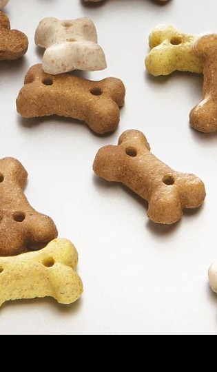 PUPPY KNOCHEN - 2,2 cm  10kg