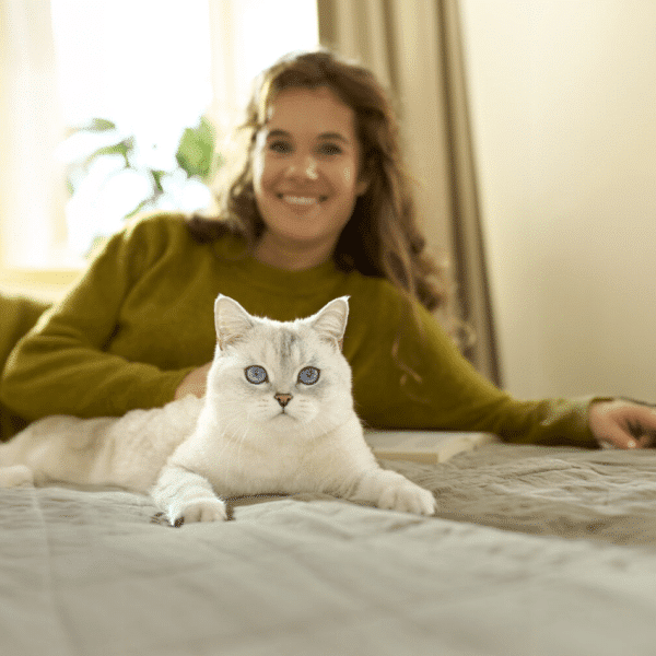 nourriture pour chats